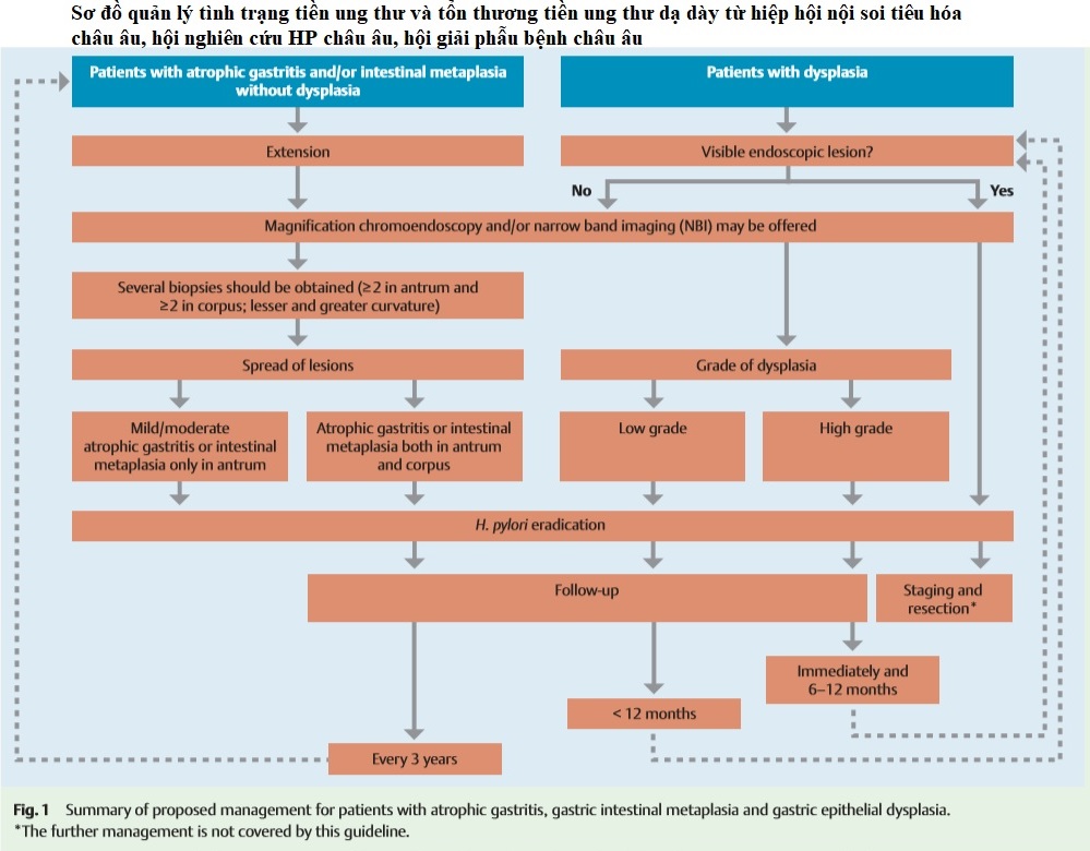 Quản lý tình trạng tổn thương tiền ung thư dạ dày