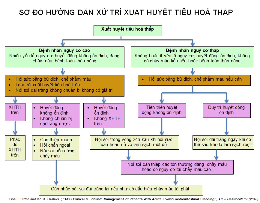 Sơ đồ hướng dẫn xử trí xuất huyết tiêu hóa thấp