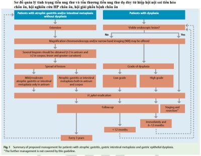 Ung thư sớm, tiền ung thư dạ dày, chẩn đoán và điều trị