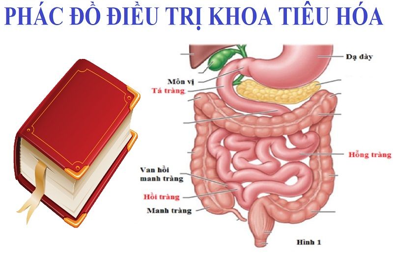 Phác đồ điều trị bệnh tiêu hoá, dạ dày, đại tràng, trào ngược